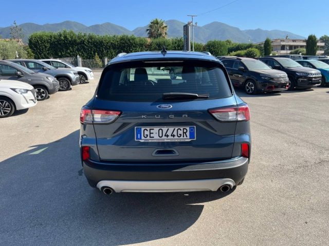 FORD Kuga 1.5 EcoBlue 120 CV 2WD Titanium Immagine 3