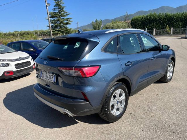 FORD Kuga 1.5 EcoBlue 120 CV 2WD Titanium Immagine 4