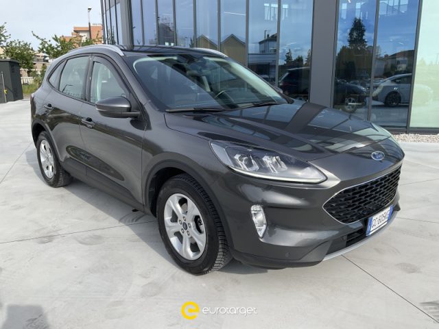 FORD Kuga Diesel 2020 usata