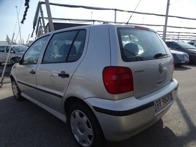 VOLKSWAGEN Polo 1.4 cat 5 porte Comfortline Air Immagine 1