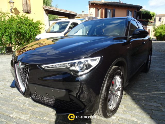 ALFA ROMEO Stelvio 2.0 Turbo 200 CV AT8 Q4 Executive Immagine 0