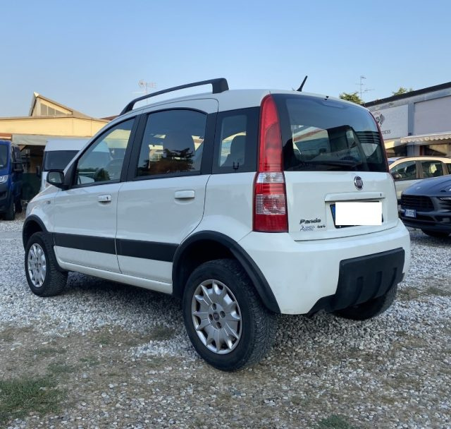 FIAT Panda 1.2 4x4 Climbing Immagine 3