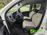 FIAT Panda 1.3 MJT 80 CV S&S 4x4++Neopatentati++