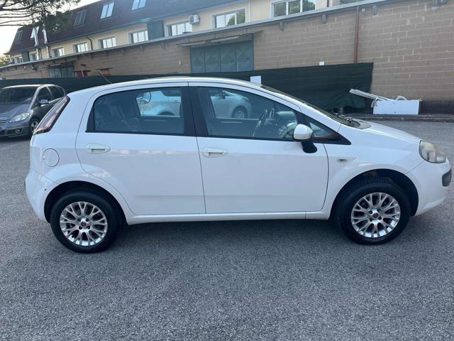 FIAT Punto Evo 1.4 5 porte Active Natural Power Immagine 4