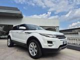 LAND ROVER Range Rover Evoque 2.2 TD4 5p. full optional