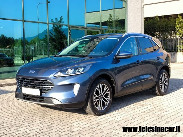 FORD Kuga 1.5 EcoBlue 120 CV aut. 2WD Titanium Business Immagine 1