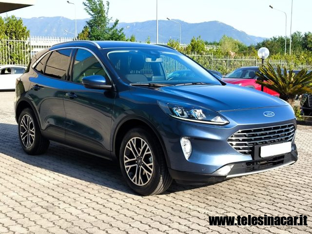 FORD Kuga 1.5 EcoBlue 120 CV aut. 2WD Titanium Business Immagine 3