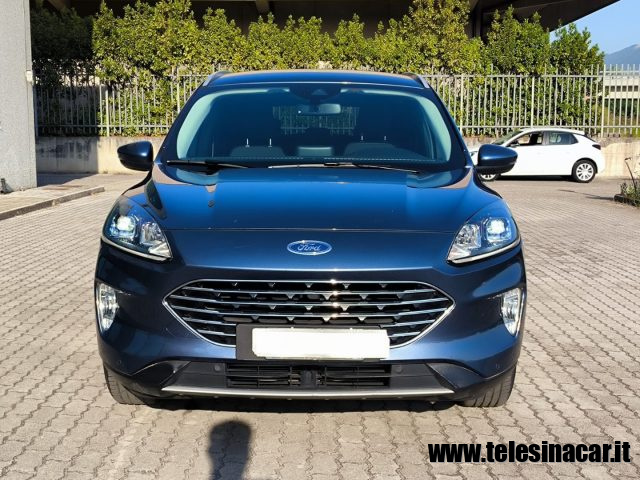 FORD Kuga 1.5 EcoBlue 120 CV aut. 2WD Titanium Business Immagine 2