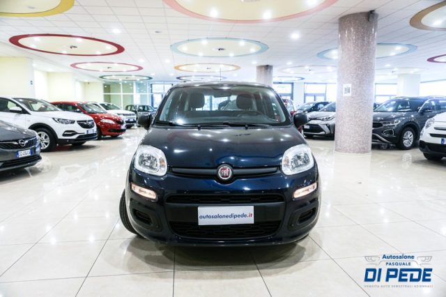 FIAT Panda 1.0 FireFly S&S Hybrid EASY Immagine 1