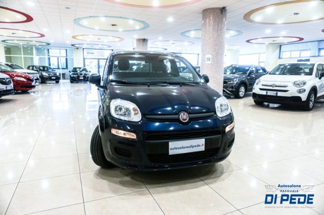 FIAT Panda 1.0 FireFly S&S Hybrid EASY Immagine 2