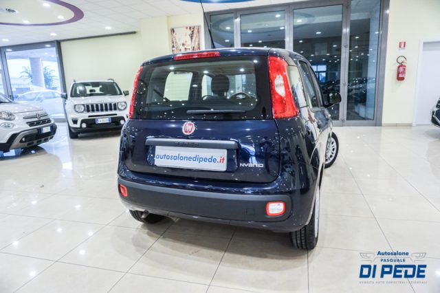 FIAT Panda 1.0 FireFly S&S Hybrid EASY Immagine 3