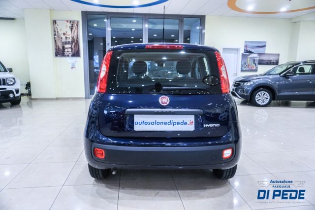 FIAT Panda 1.0 FireFly S&S Hybrid EASY Immagine 4