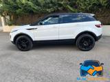 LAND ROVER Range Rover Evoque 2.0 eD4 5p. SE Dynamic