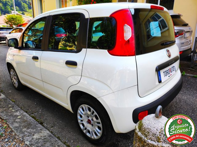 FIAT Panda 1.2 EasyPower Easy UNICO PROPRIETARIO Immagine 2