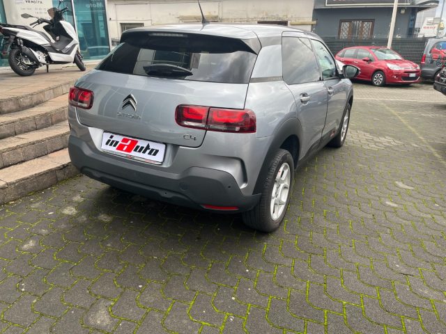 CITROEN C4 Cactus BlueHDi 100 S&S Shine Immagine 3