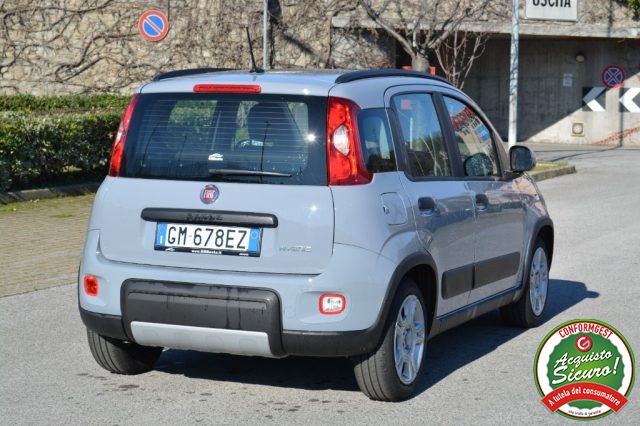 FIAT Panda 1.0 FireFly S&S Hybrid SOLO NOLEGGIO Immagine 4