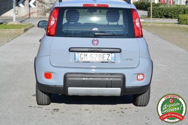 FIAT Panda 1.0 FireFly S&S Hybrid SOLO NOLEGGIO Immagine 3