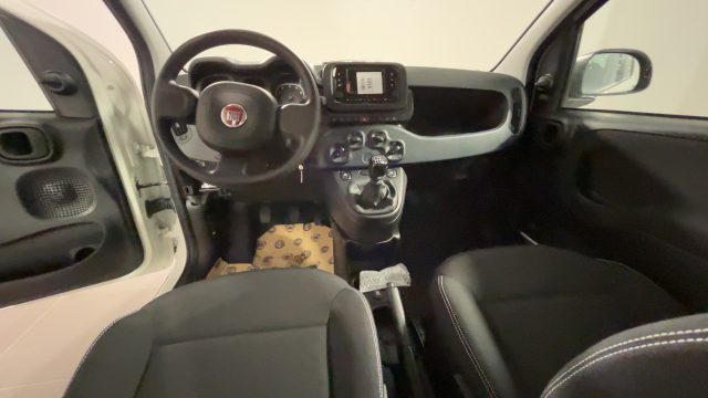 FIAT Panda 1.0 FireFly S&S Hybrid Immagine 4