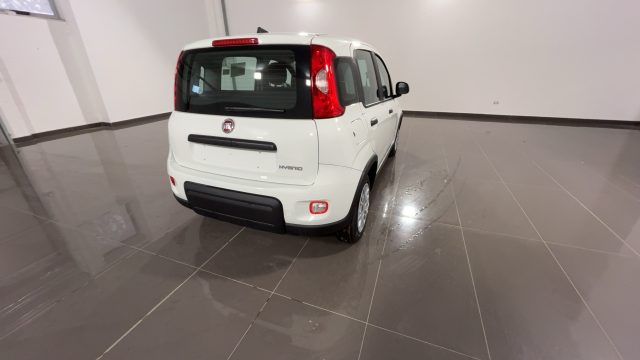 FIAT Panda 1.0 FireFly S&S Hybrid Immagine 1