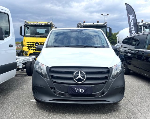 MERCEDES-BENZ Vito 116 CDI Furgone Long PRO Immagine 1