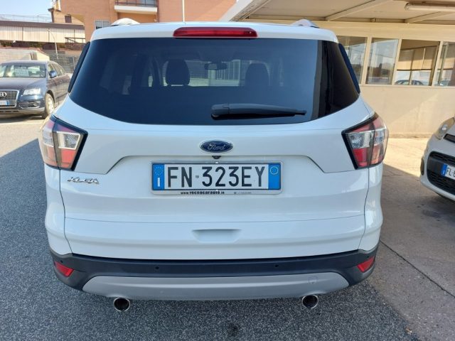 FORD Kuga 1.5 TDCI 120 CV S&S 2WD Titanium Immagine 4