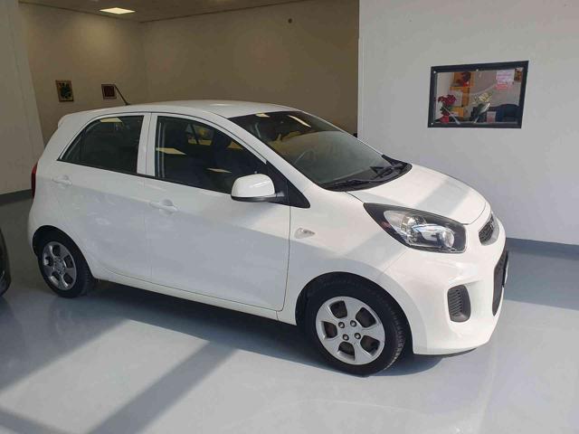 KIA Picanto 1.0 12V EcoGPL 5 porte Immagine 1