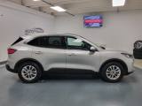 FORD Kuga 1.5 EcoBlue 120 CV 2WD Titanium