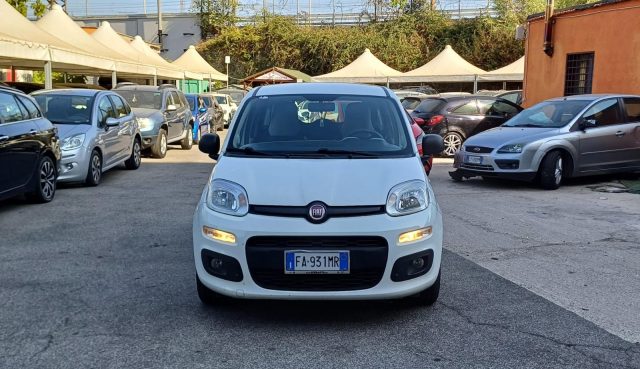 FIAT Panda Benzina 2015 usata