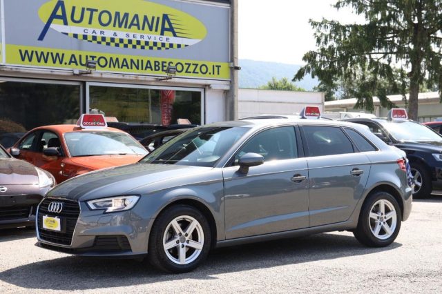 AUDI A3 SPB 1.6 TDI S tronic Business Immagine 0