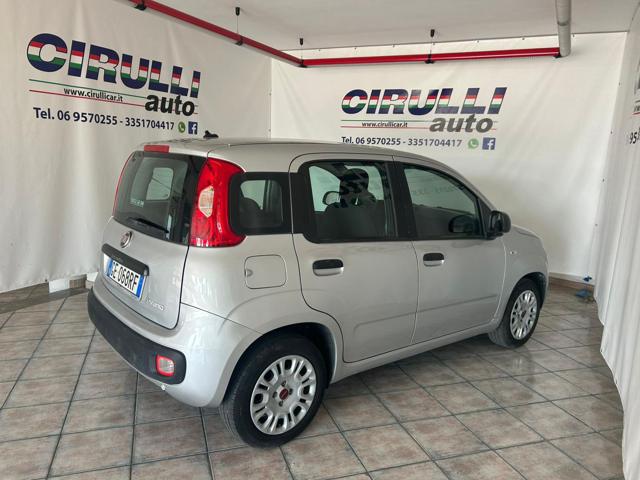 FIAT Panda 1.0 FireFly S&S Hybrid EASY Immagine 3