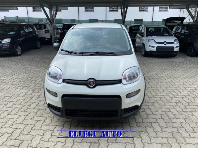 FIAT Panda Elettrica/Benzina usata, Italia