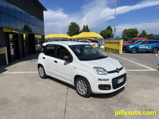 FIAT Panda 1.0 FireFly S&S Hybrid OK NEOPATENTATI Immagine 2