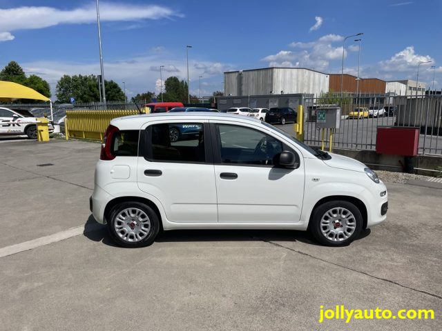 FIAT Panda 1.0 FireFly S&S Hybrid OK NEOPATENTATI Immagine 3