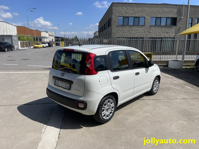 FIAT Panda 1.0 FireFly S&S Hybrid OK NEOPATENTATI Immagine 4