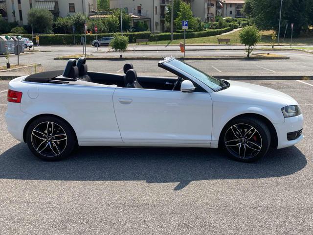 AUDI A3 Cabrio 1.9 TDI F.AP. Young Edition Immagine 4