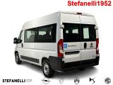 FIAT Ducato Maxi 35 Furgone Semi Vetrato 9 POSTI