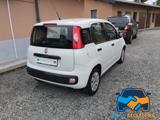 FIAT Panda 1.2 Lounge  *DISTRIBUZIONE ESEGUITA*