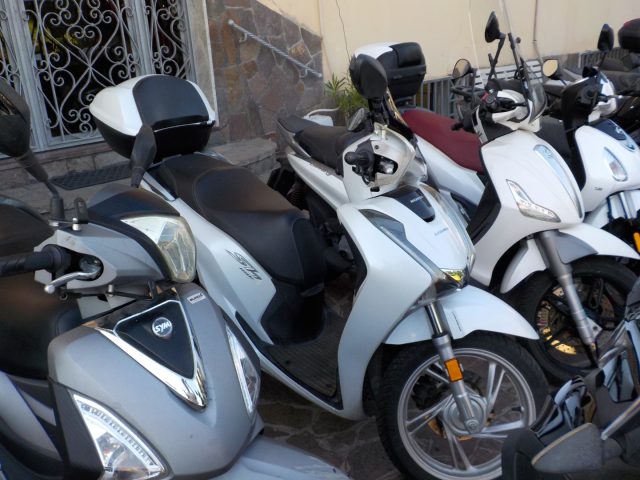 HONDA SH 150 Anno 2019 Immagine 1