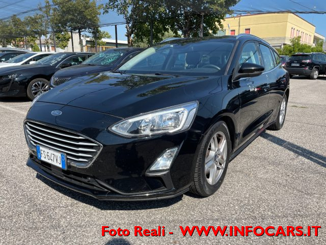 FORD Focus 1.5 EcoBlue 120 CV automatico SW Business Co-Pilot Immagine 1