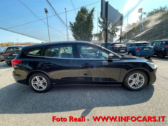 FORD Focus 1.5 EcoBlue 120 CV automatico SW Business Co-Pilot Immagine 3