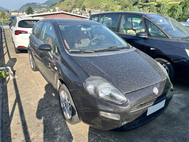 FIAT Punto 1.2 8V 3 porte Easy Immagine 3