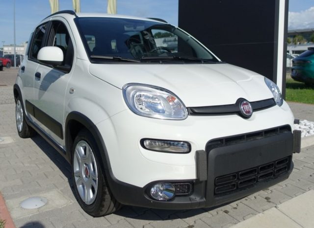 FIAT Panda 1.0 FireFly S&S Hybrid - Bluetooth/5Posti Immagine 1