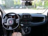 FIAT Panda 1.0 FireFly S&S Hybrid - Bluetooth/5Posti