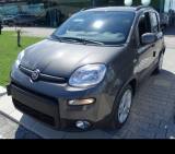 FIAT Panda 1.0 FireFly S&S Hybrid - Bluetooth/5Posti