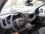 FIAT Panda 1.0 Hybrid Cross CarPlay/ClimaAuto/5Posti