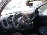 FIAT Panda 1.0 Hybrid Cross My24 CarPlay/ClimaAuto