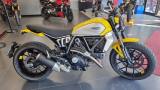 DUCATI Scrambler 800 ICON YELLOW