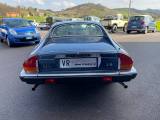 JAGUAR XJ XJ-S 3.6 Coupé ISCRITTA ASI XJS