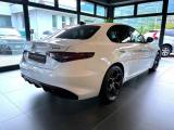 ALFA ROMEO Giulia 2.2 Turbodiesel 210 CV AT8 AWD Q4 Tributo Italian