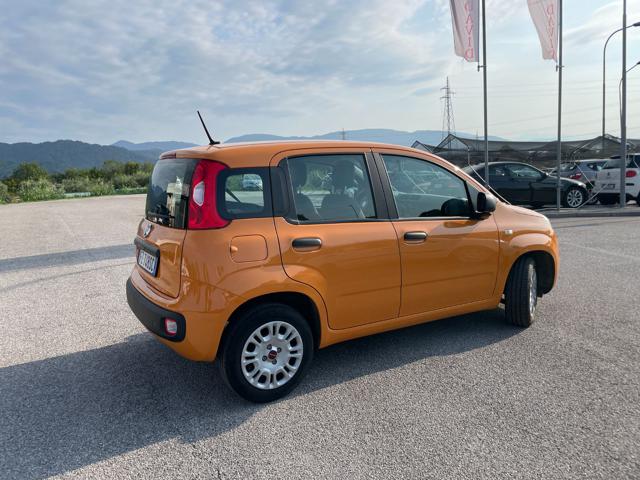 FIAT Panda 1.2 Easy Immagine 3